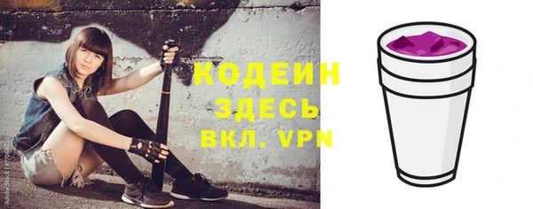 стаф Осинники