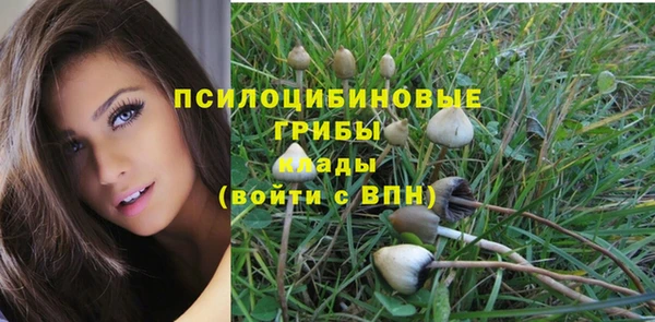 МДПВ Остров