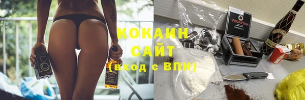 стаф Осинники
