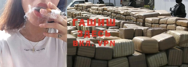 стаф Осинники
