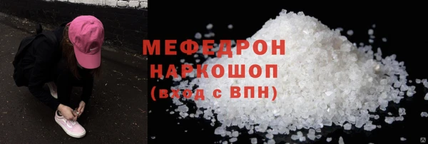 стаф Осинники