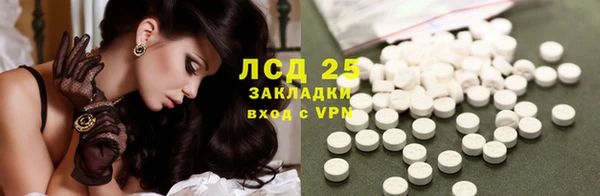 стаф Осинники