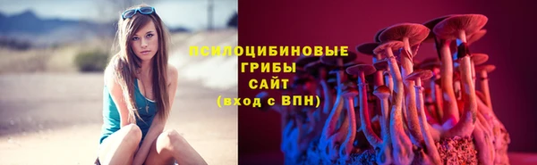 МДПВ Остров