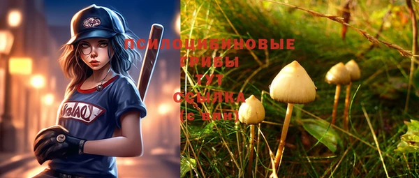 стаф Осинники