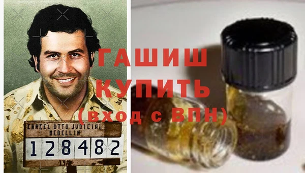 стаф Осинники