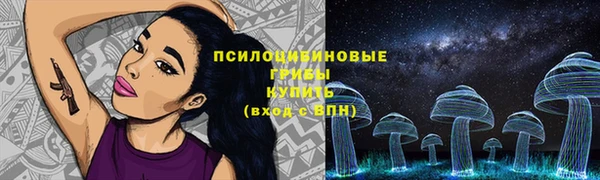 круглые Нягань