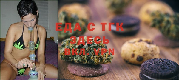 стаф Осинники