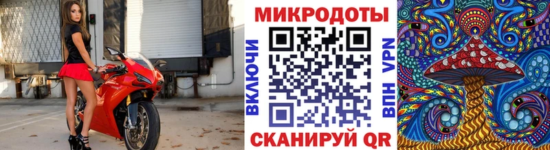 Галлюциногенные грибы прущие грибы  Куровское 
